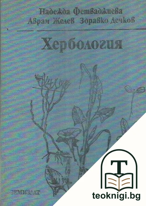 Хербология — корица