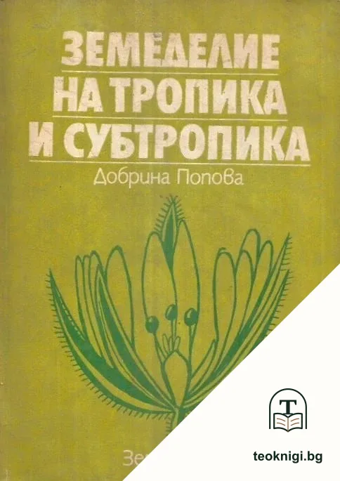 Земеделие на тропика и субтропика — корица