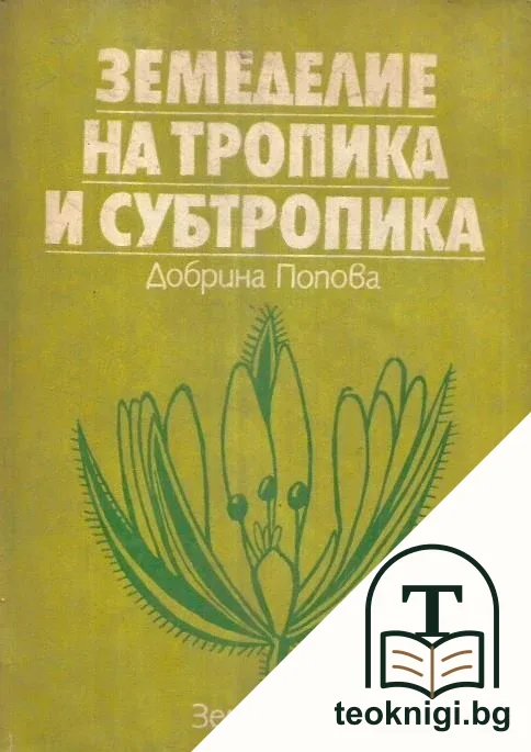 Земеделие на тропика и субтропика — корица