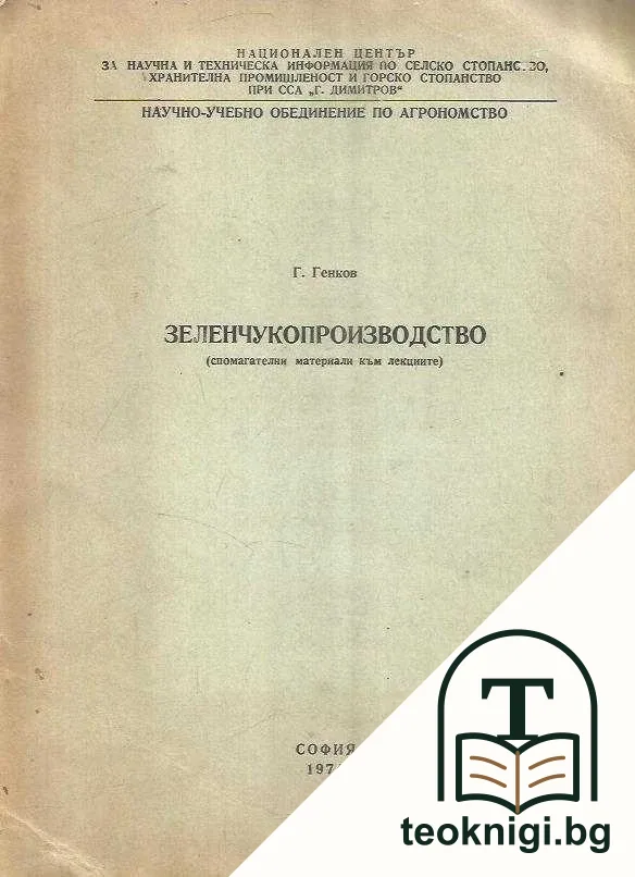 Зеленчукопроизводство — корица