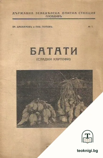 Батати — корица