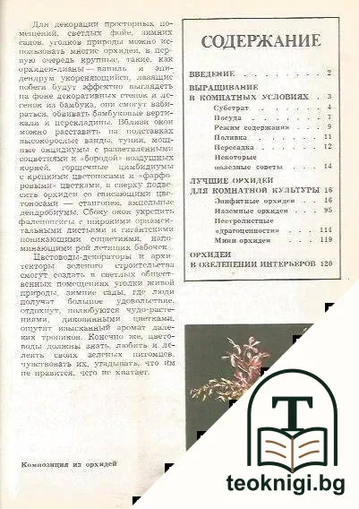 Орхидеи — снимка 3