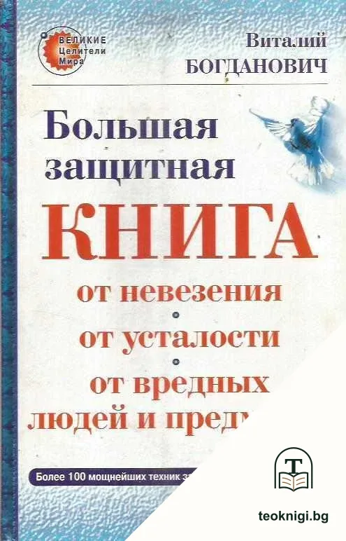 Большая защитная книга от невезения, от усталости, от вредных людей и предметов — корица