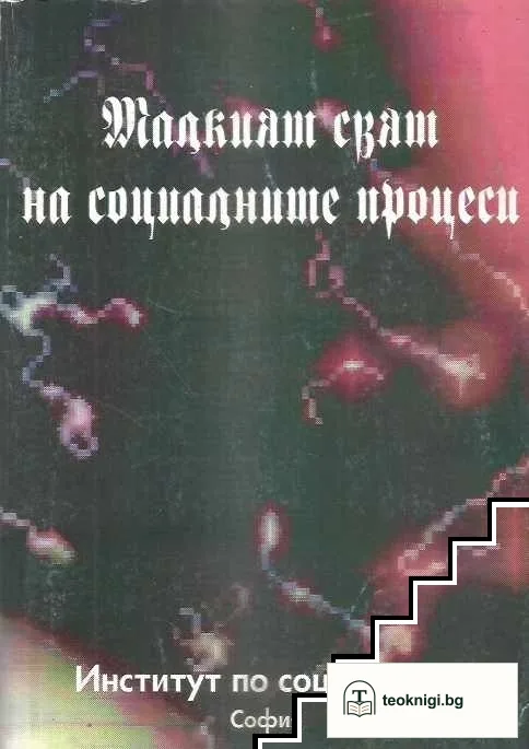 Малкият свят на социалните процеси — корица
