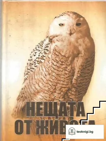 Нещата от живота — корица