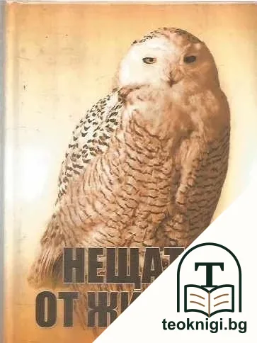Нещата от живота — корица