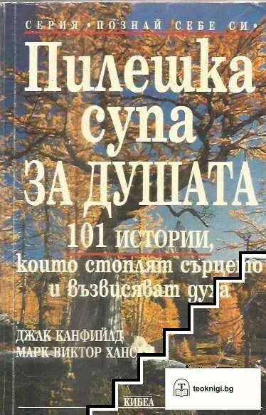 Пилешка супа за душата — корица