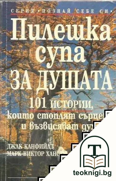 Пилешка супа за душата — корица