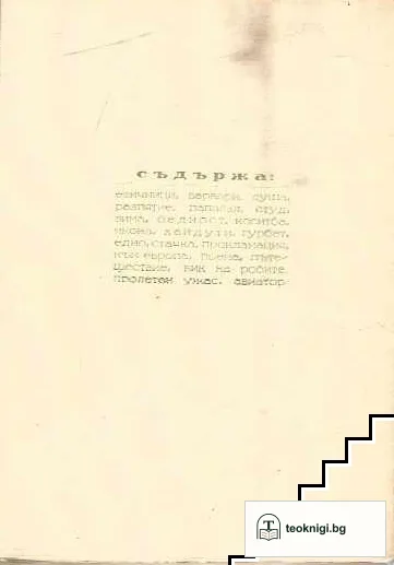 Железни икони — снимка 2