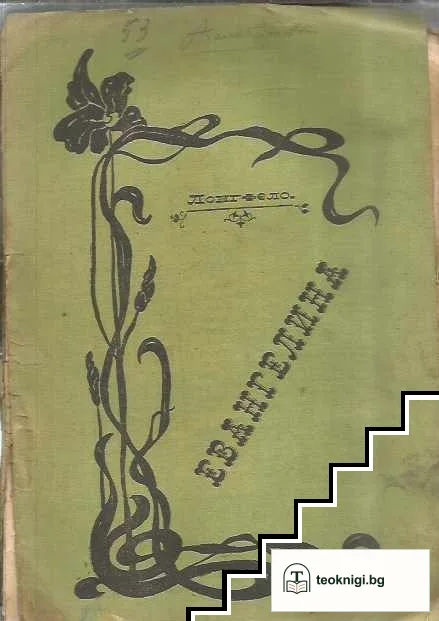 Евангелина — корица