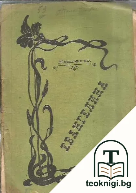 Евангелина — корица
