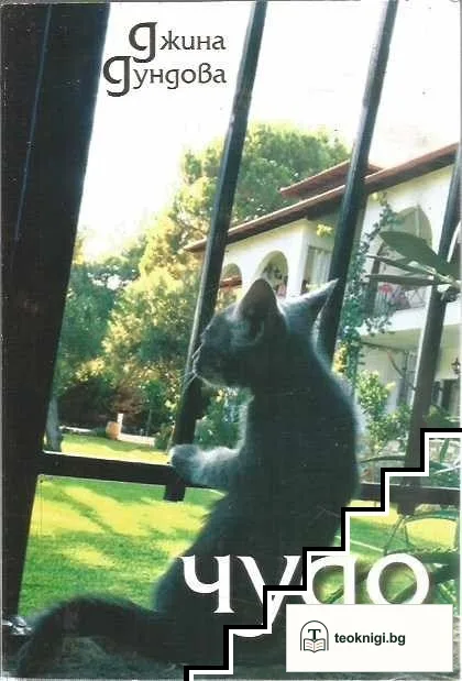 Чудо — корица