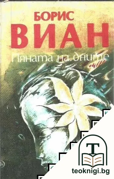 Пяната на дните — корица