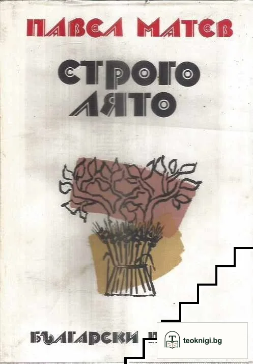 Строго лято — корица