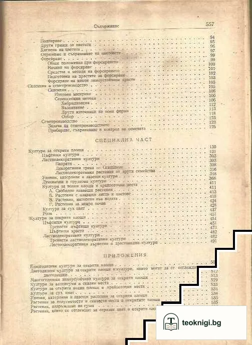 Цветарство — снимка 3