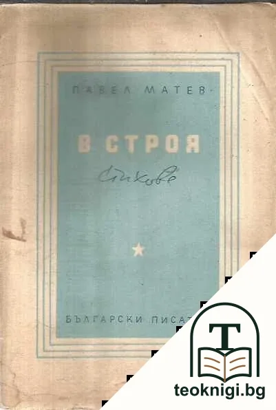 В строя — корица