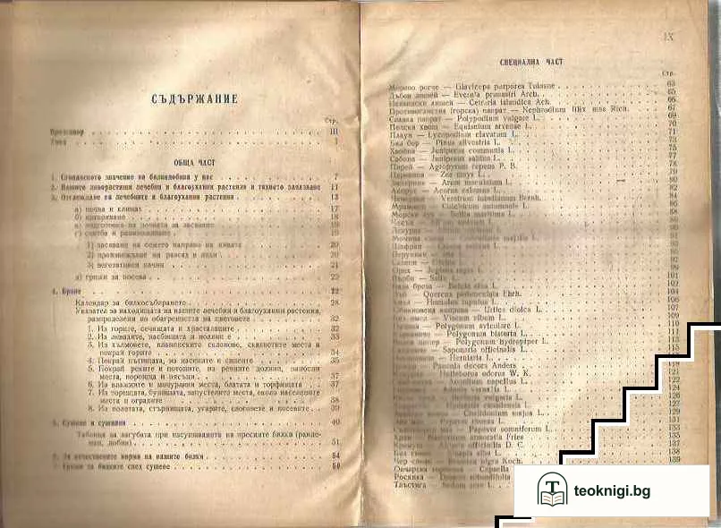 Нашите лечебни и благоуханни растения — снимка 2