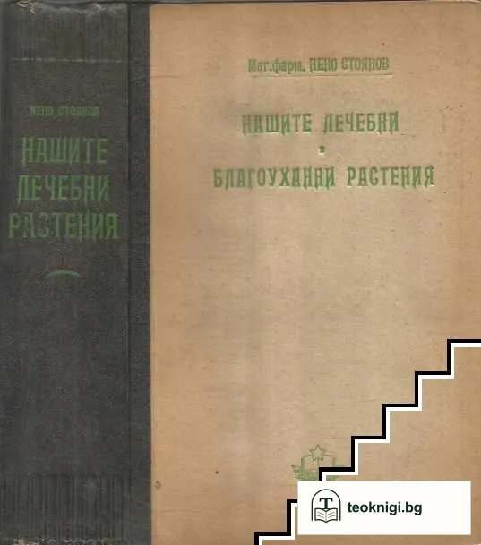 Нашите лечебни и благоуханни растения — корица