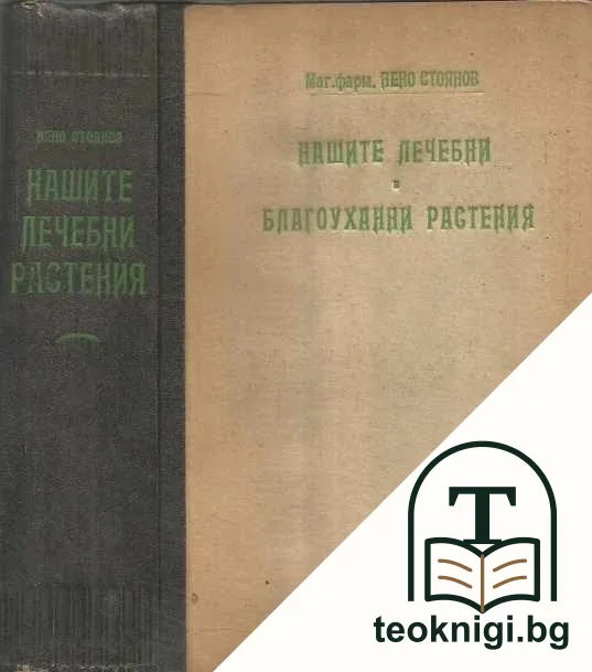 Нашите лечебни и благоуханни растения — корица