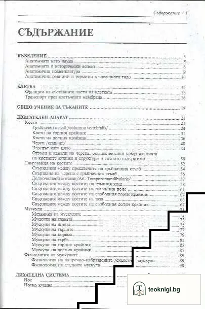 Анатомия и физиология на човека — снимка 2