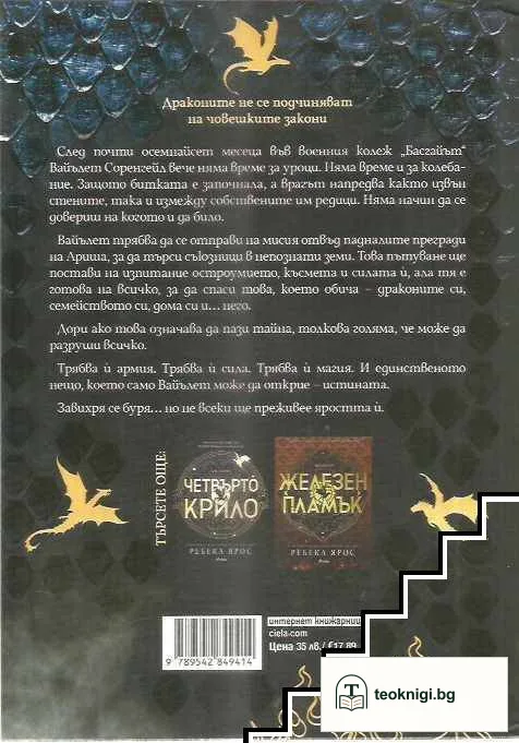 Буря от оникс — снимка 2