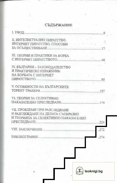 Подборен лов на интернет пирати — снимка 3