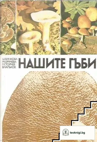 Нашите гъби — корица