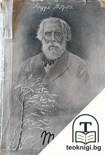 Тургенев — корица
