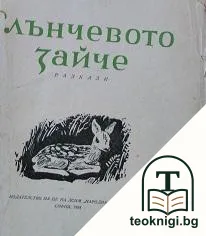 Слънчевото зайче — корица