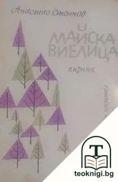 Майска виелица — корица