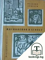 Мигновения в Египет — корица