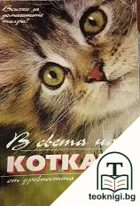 В света на котката от древността до наши дни — корица
