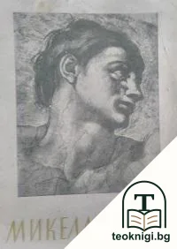 Микеланджело — корица