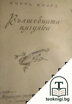 Вълшебната цигулка — корица