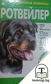 Ротвейлер — корица