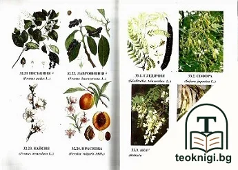 Лечебни и етерични растения — корица