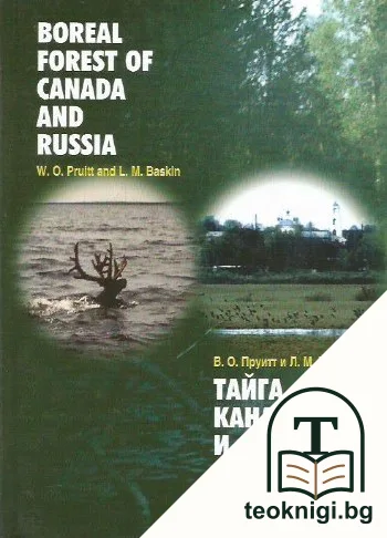 Boreal forest of Canada and Russia. / Тайга Канады и России — корица