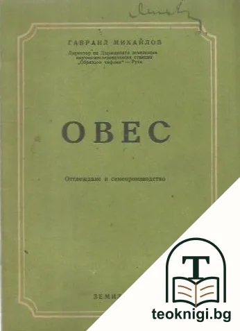 Овес — корица