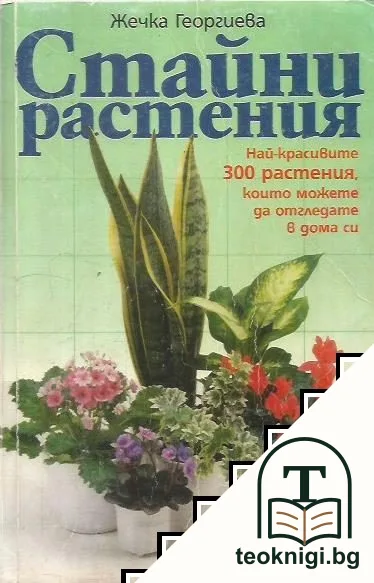 Стайни растения — корица