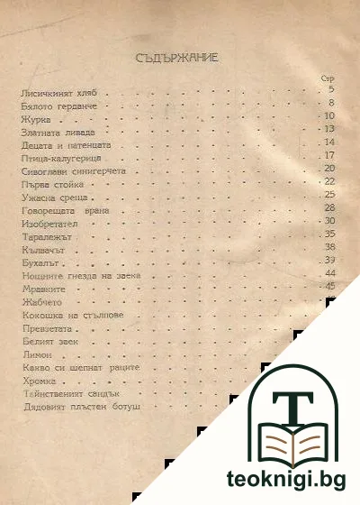 Лисичкиният хляб — снимка 2