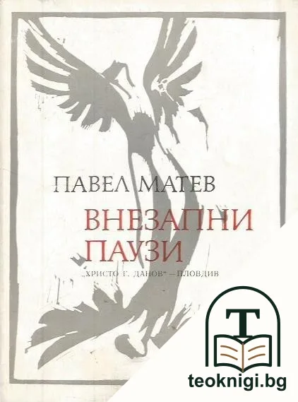 Внезапни паузи — корица