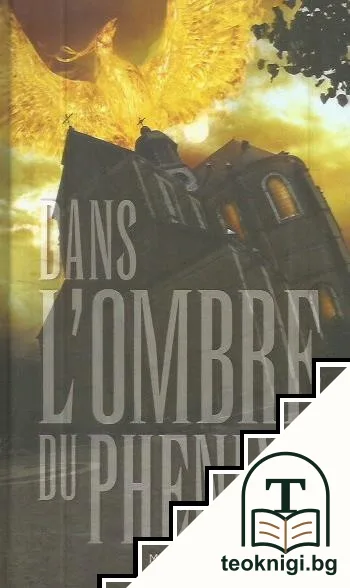 Dans l'ombre du Phenix / In de schaduw van de Feniks — корица