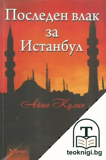 Последен влак за Истанбул — корица