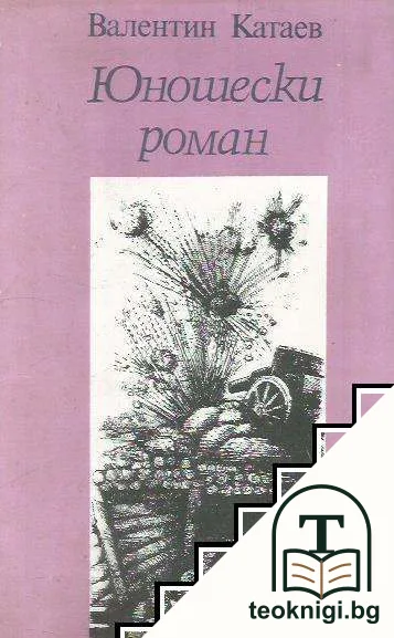 Юношески роман — корица