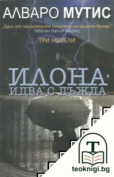 Илона идва с дъжда — корица