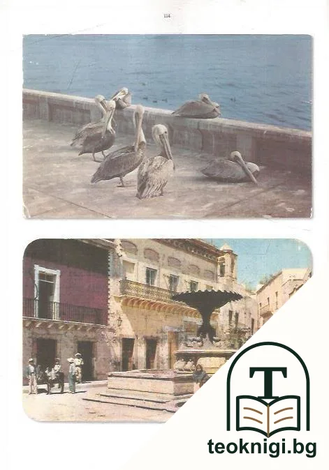 Geografía postal. Las postales de las familias García Lorca y de los Ríos — снимка 2