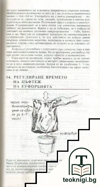Тънкости в градинарството — снимка 2