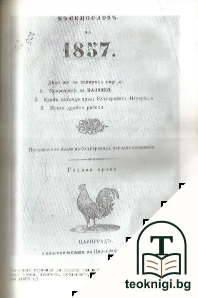 Драган Цанков — снимка 2