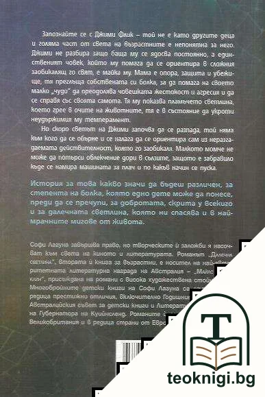 Далечна светлина — снимка 2
