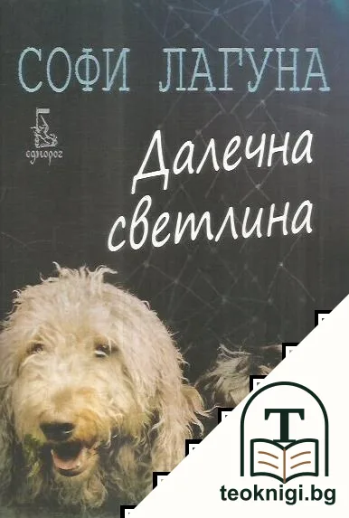 Далечна светлина — корица